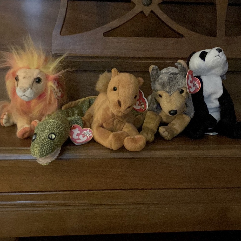 Set of 5 Year 2000 beanie babies